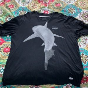 shark alomplice shirt